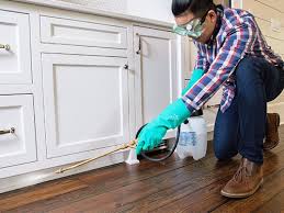 Best Residential Pest Control  in Pinckney, MI